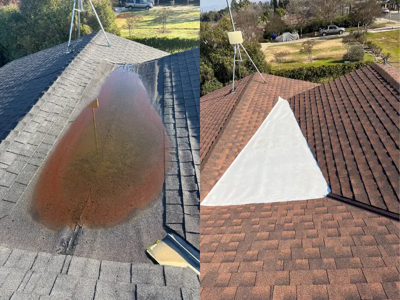 Expert Roof Repair
